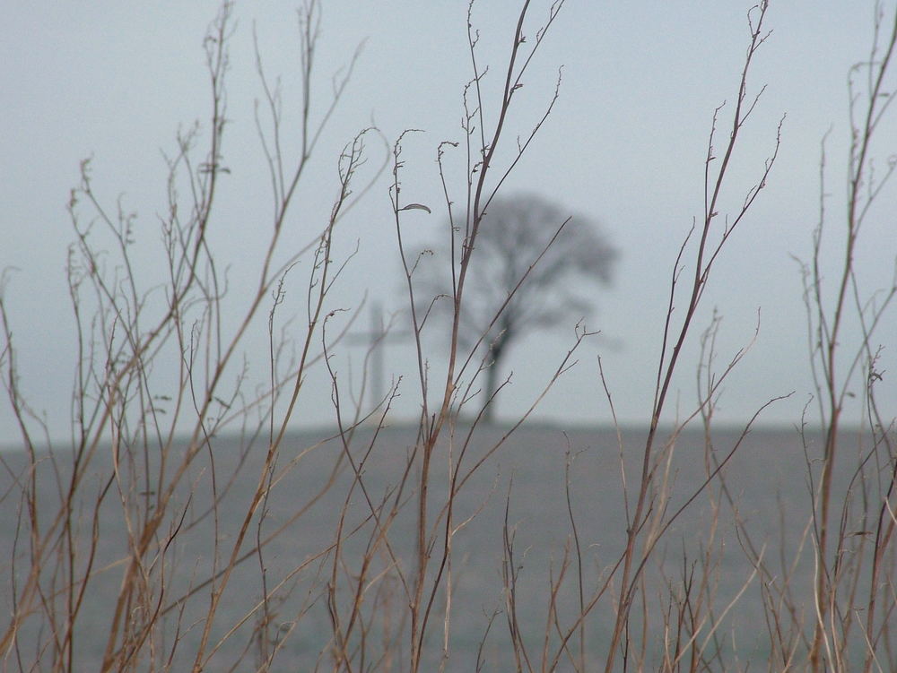 durch die Hecke