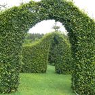 Durch die Hecke