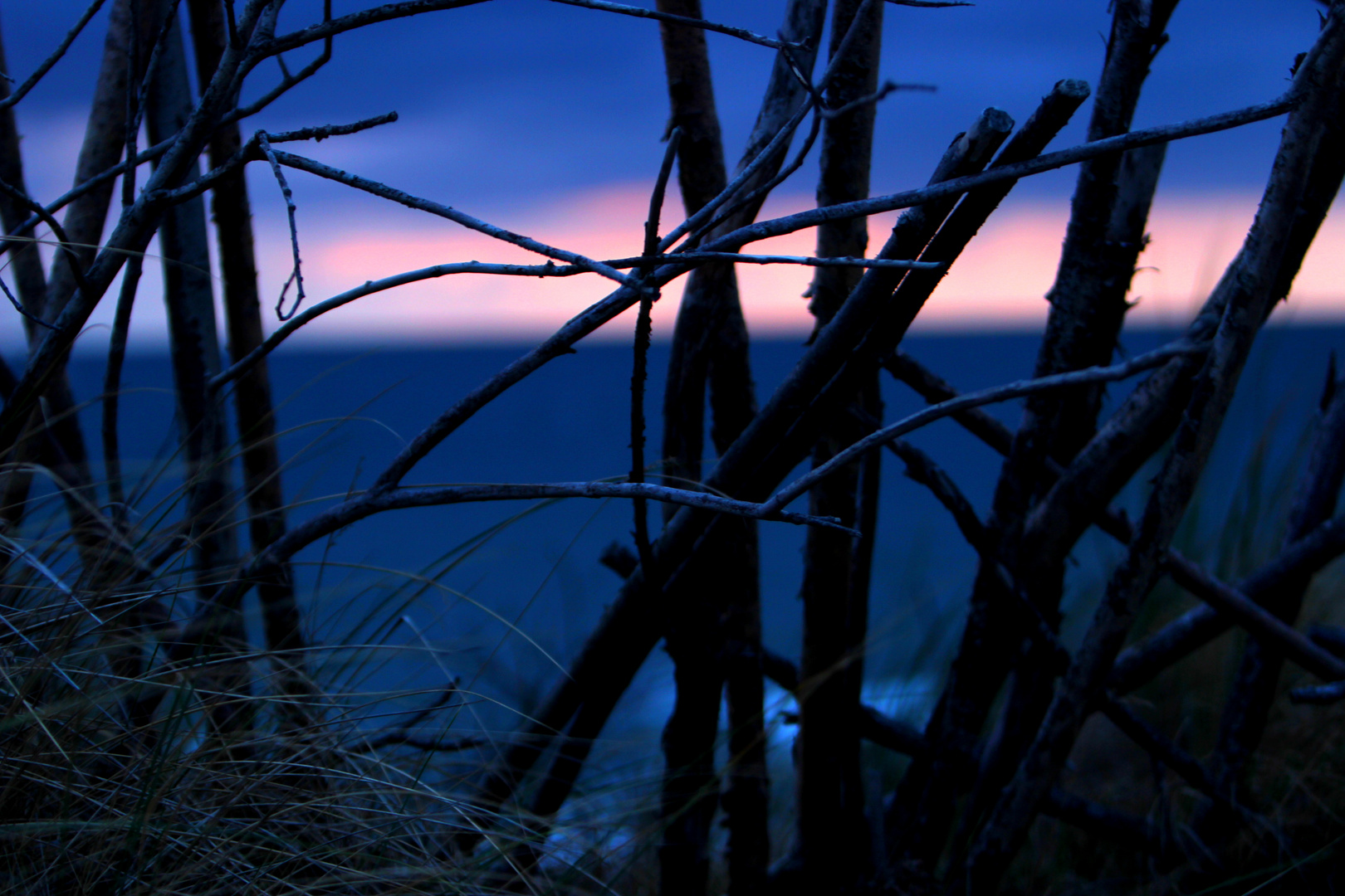 Durch die Hecke - Sonnenuntergang