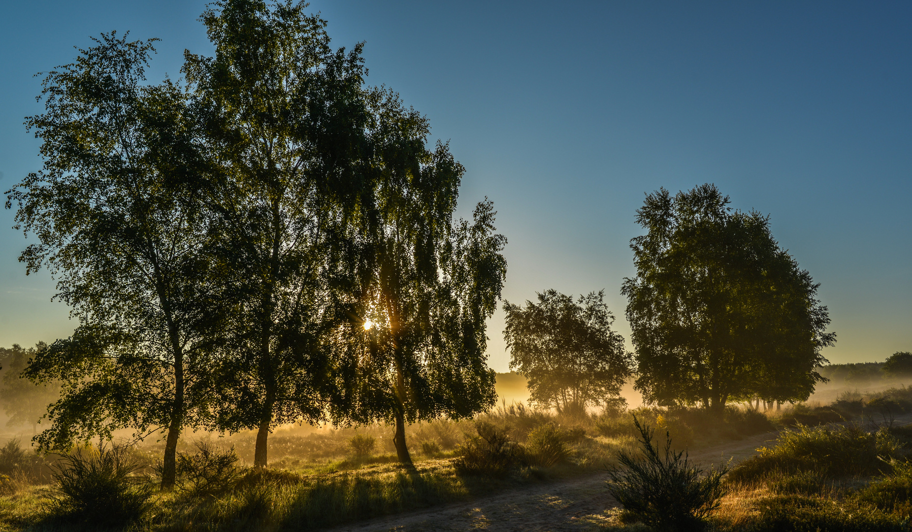 Durch die Heide