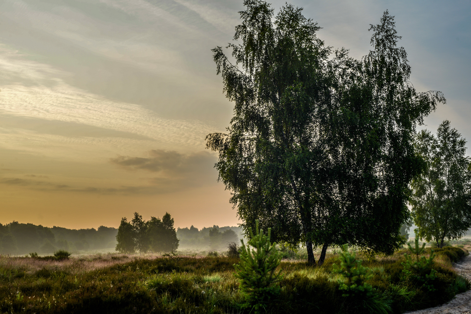 Durch die Heide