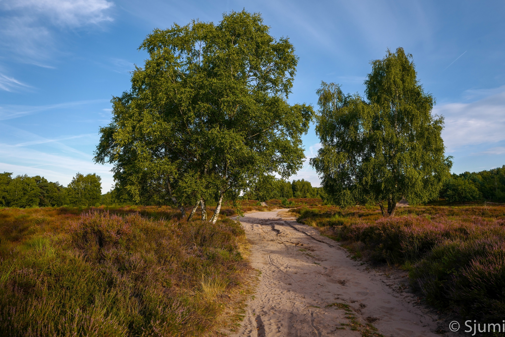 Durch die Heide