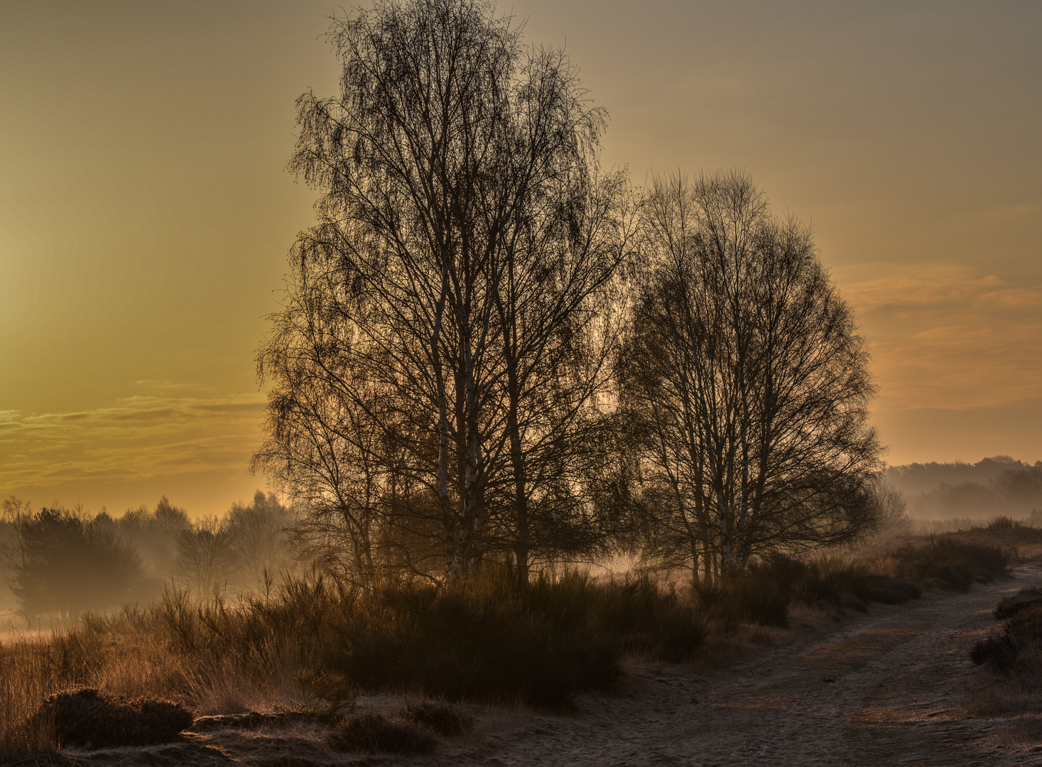 Durch die Heide