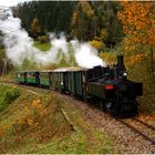 Durch die Herbstlandschaft mit der U1