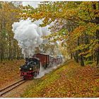 Durch die herbstliche Prignitz im Regen