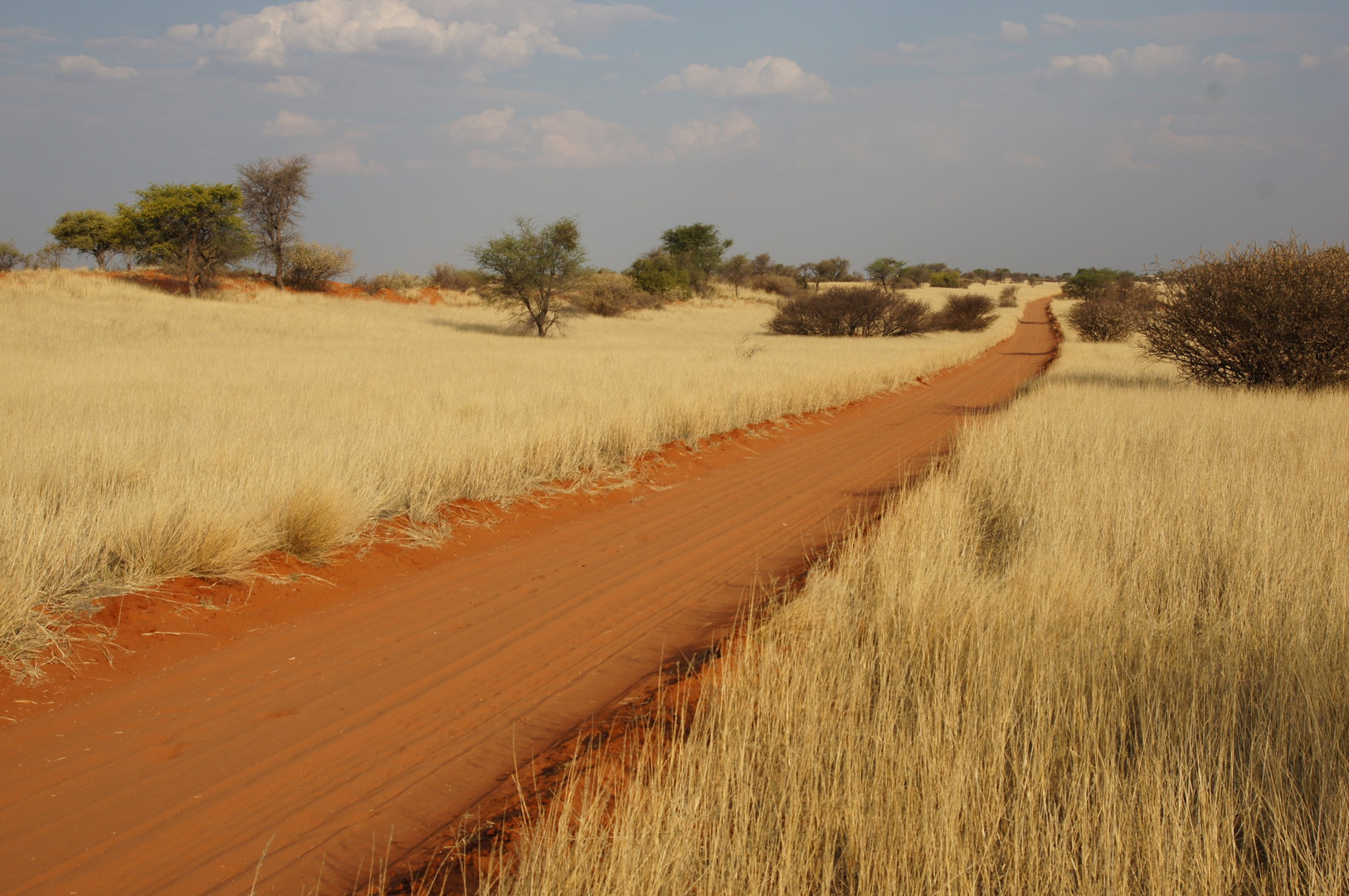 Durch die Kalahari