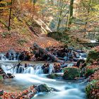 Durch die Karlstalschlucht | Pfälzerwald