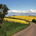 Durch die Lande im Frühling...