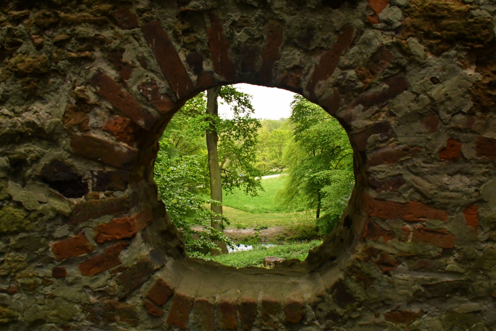 Durch Die Mauer Geblickt