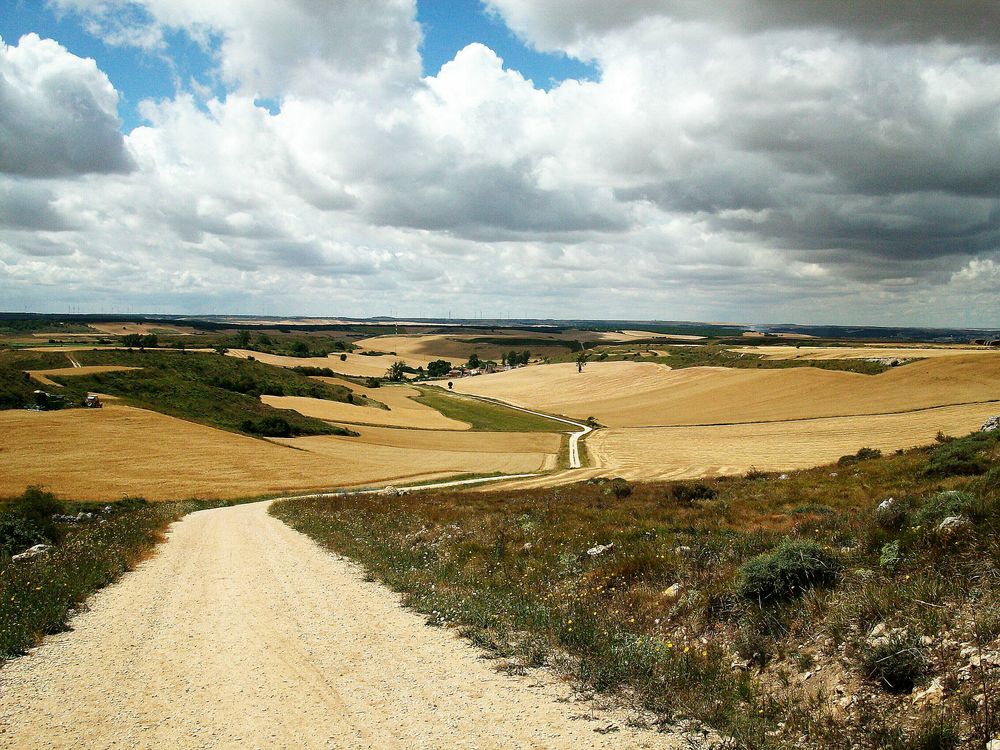 durch die Meseta Foto & Bild europe, on the road, jakobsweg camino