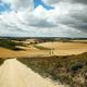 Camino de Santiago