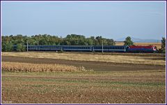 Durch die Parndorfer Heide...