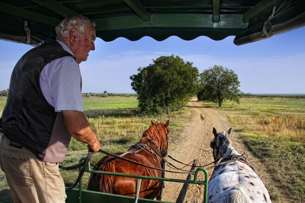 Durch die Puszta