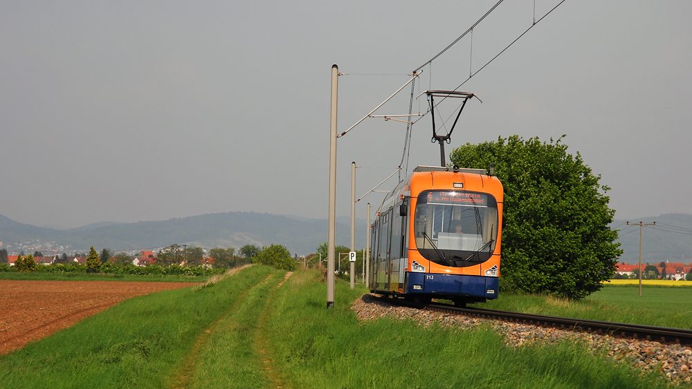 Durch die Rheinebene