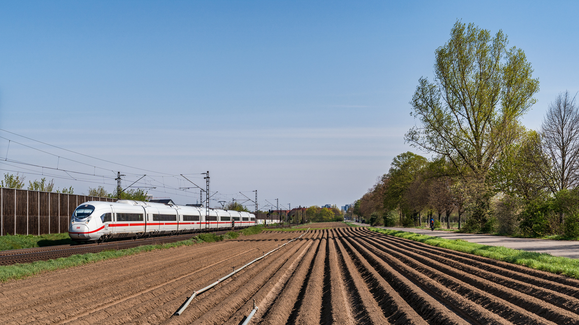 Durch die Rheinpfalz