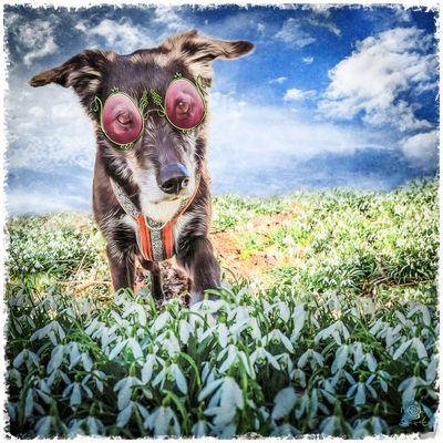 Durch die rosa Osterbrille ...