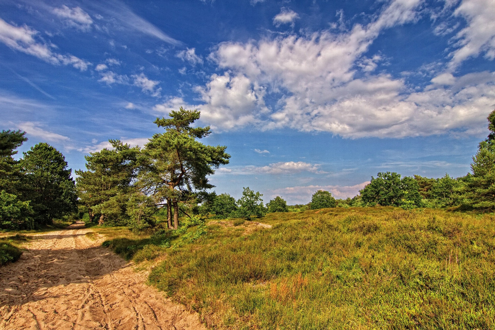 Durch die Sahlenburger Heide 