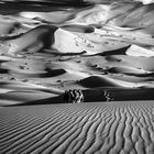 durch die Sandwüste