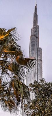 DURCH DIE SCHEIBE GEBLICKT....