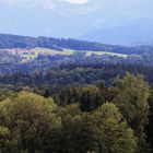 durch die   schönen Landschaften in Österreich geht die Reise 