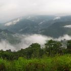 Durch die Sierra Nevada de Santa Marta zur Ciudad Pérdida