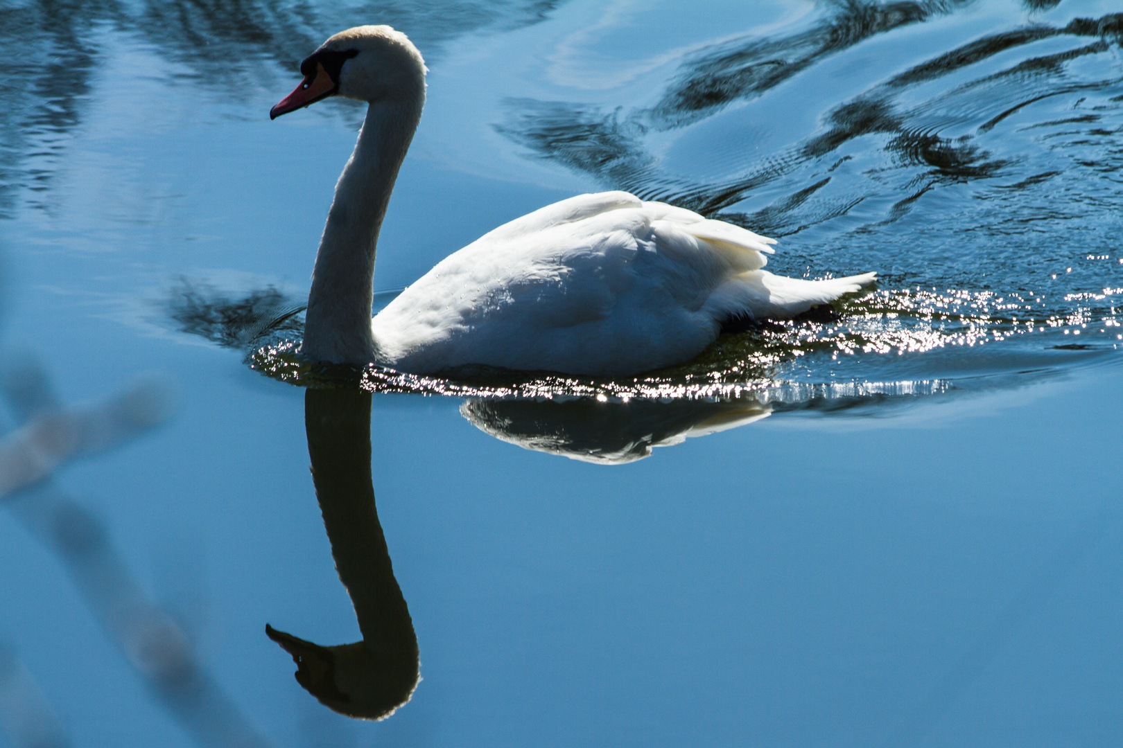 Durch die Sonne gleiten