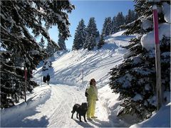 durch die verschneiten Wälder von Arosa...