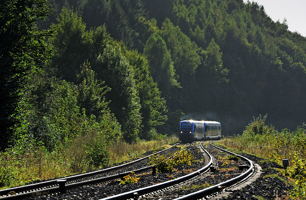 Durch die Wälder