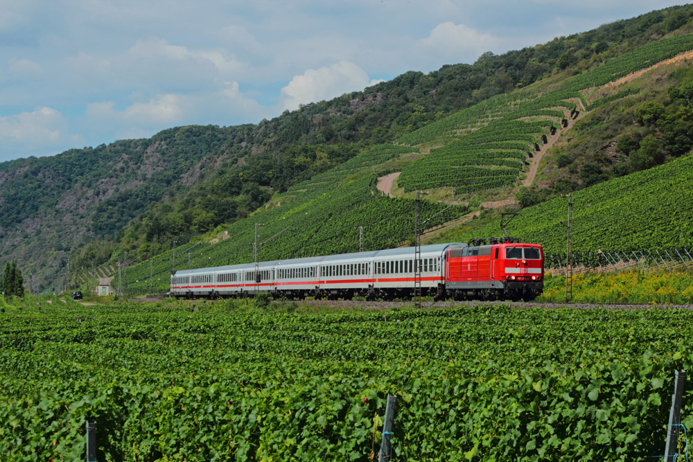 Durch die Weinberge