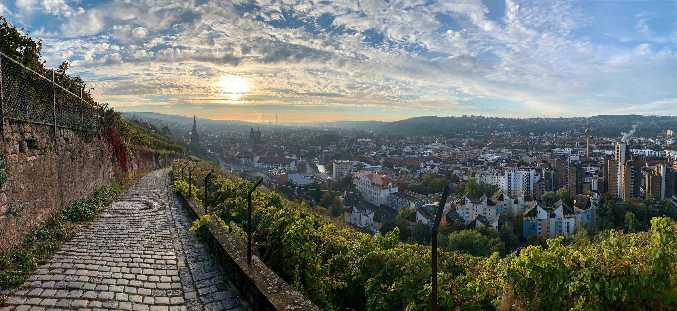 Durch die Weinberge in die Stadt