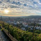 Durch die Weinberge in die Stadt