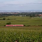 Durch die Weinlandschaft