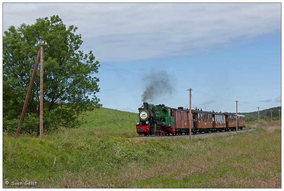 Durch die Wiesenlandschaft bei Nistelitz