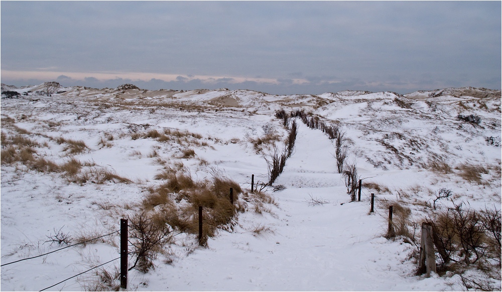 Durch die winterlichen Dünen