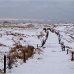 Durch die winterlichen Dünen