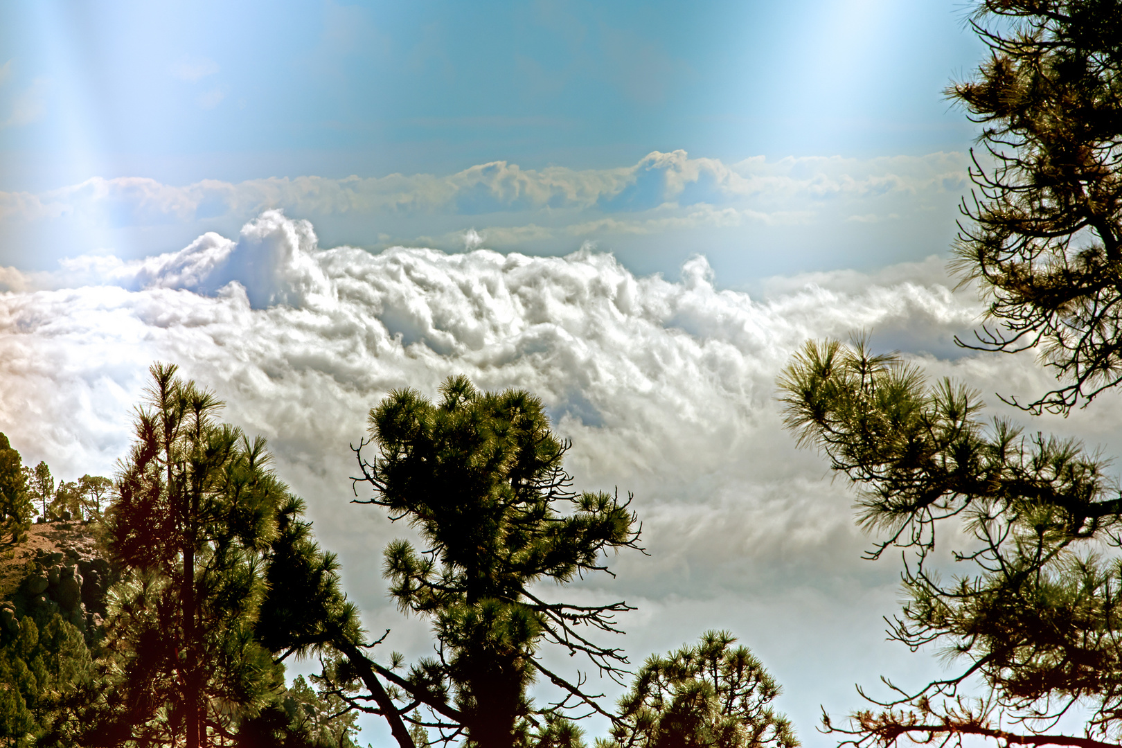 Durch die Wolken hinauf zum Teide, Teneriffa