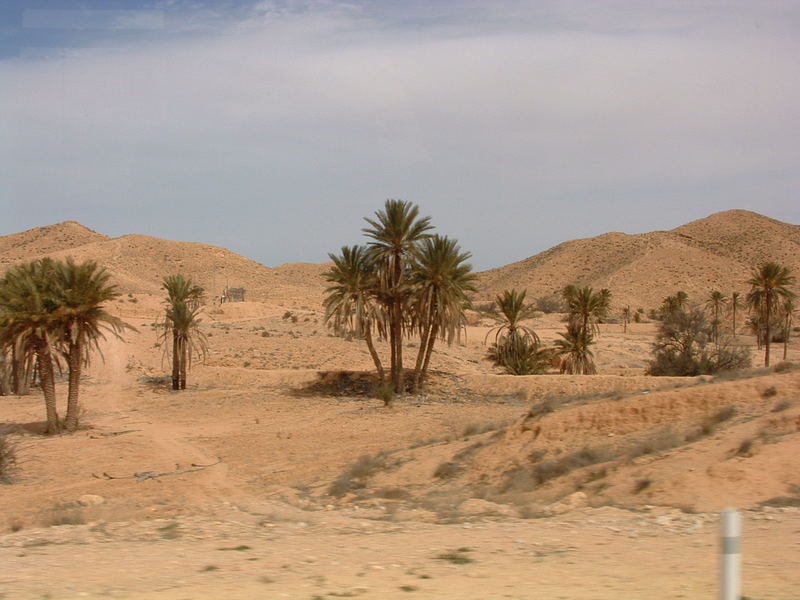 Durch die Wüste....
