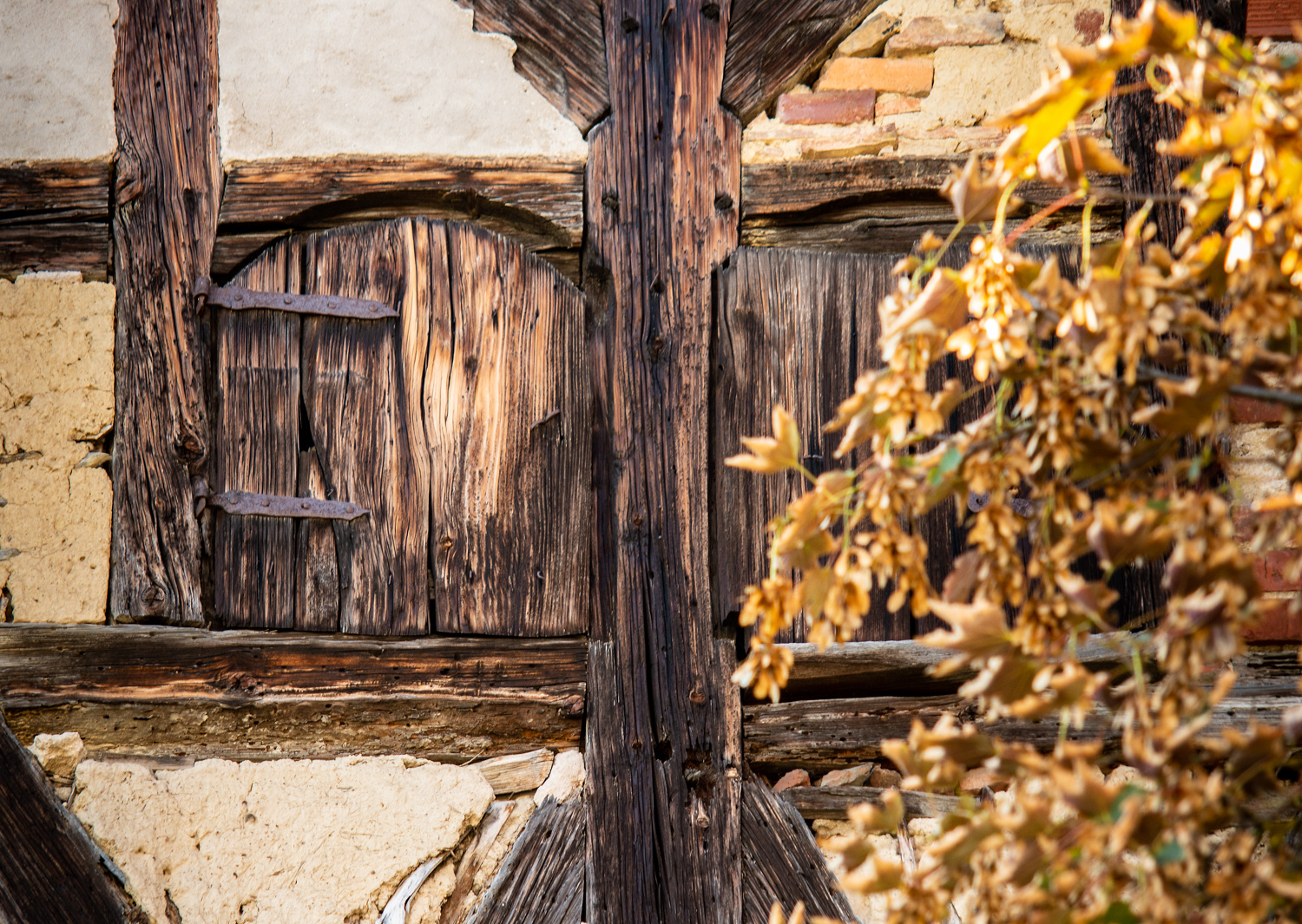 Durch dies Fenster schaut niemand mehr