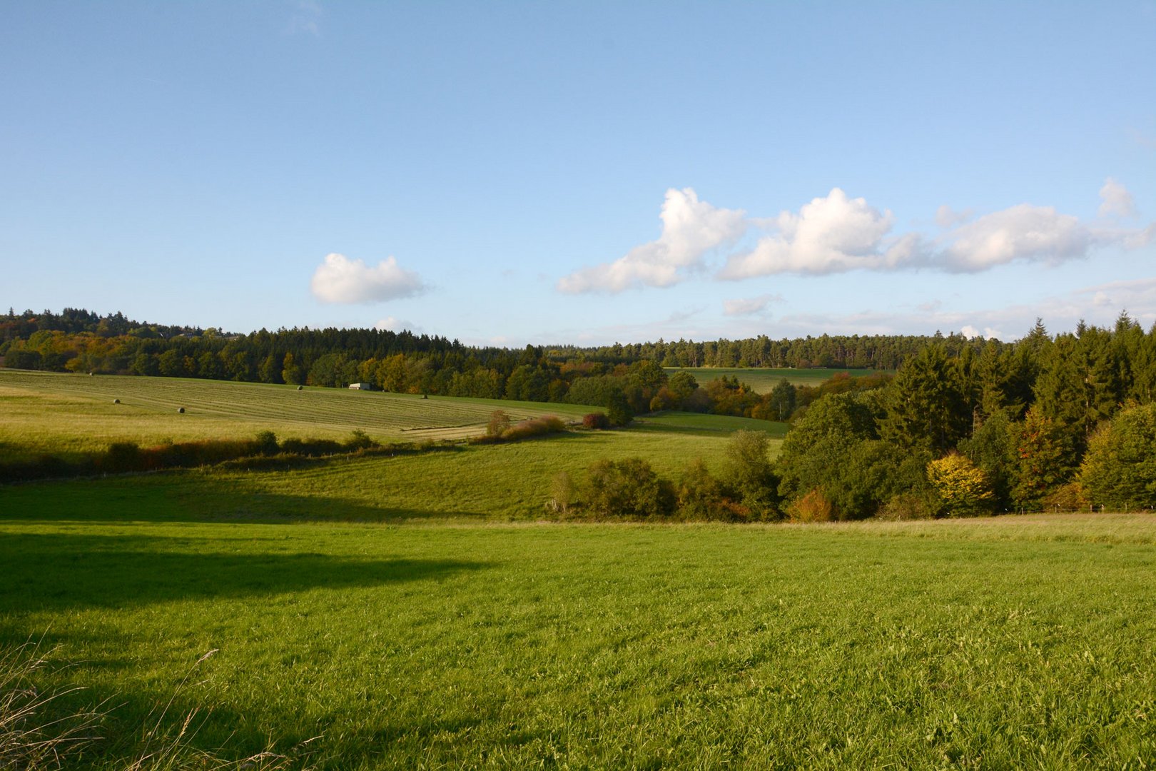 Durch diese Eifellandschaft führt regelmäßig  meine Fahrradtour