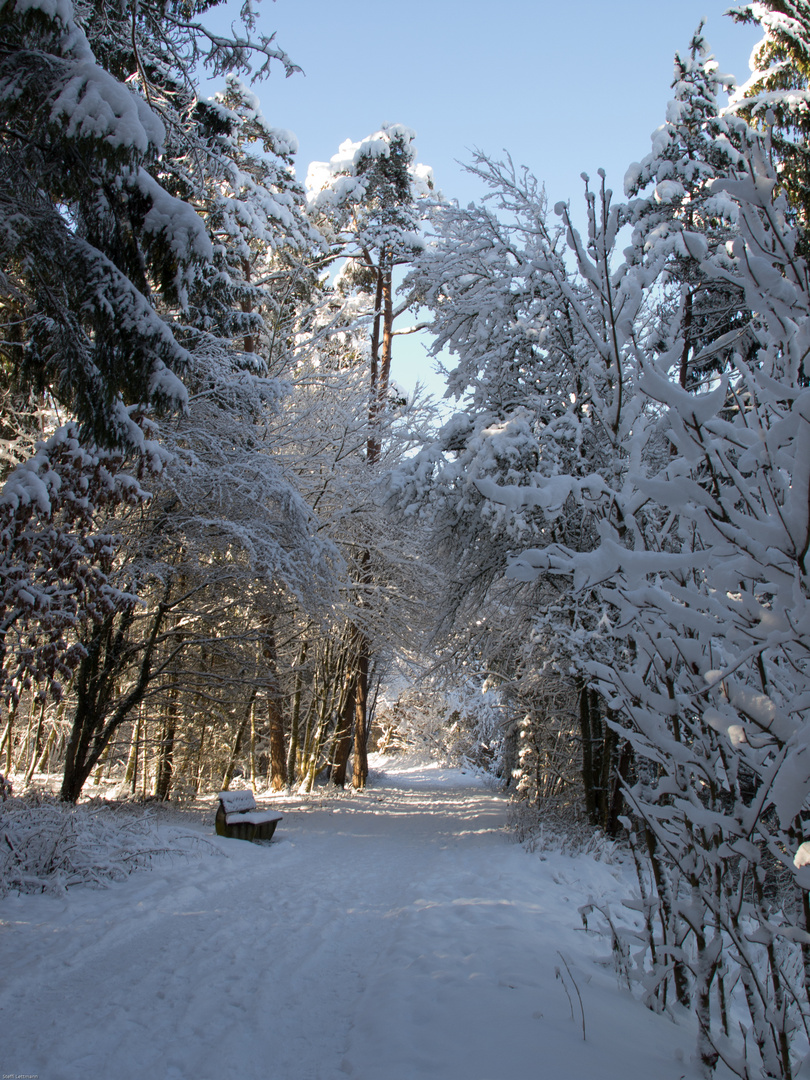 Durch diese Gasse