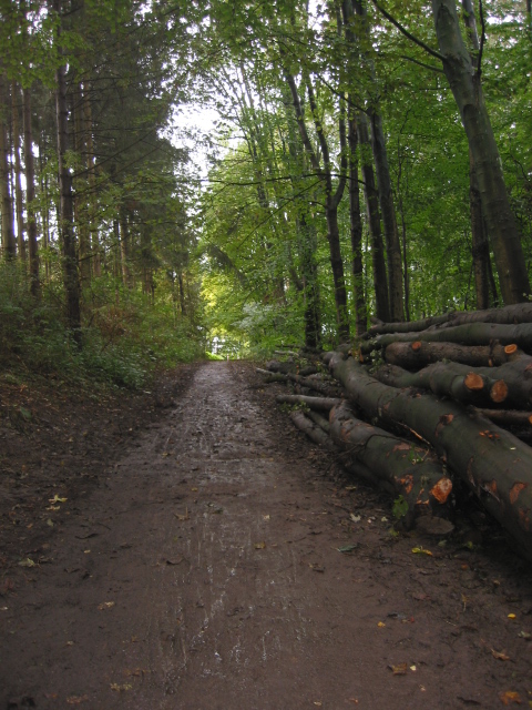 Durch diese Gasse muss er kommen!