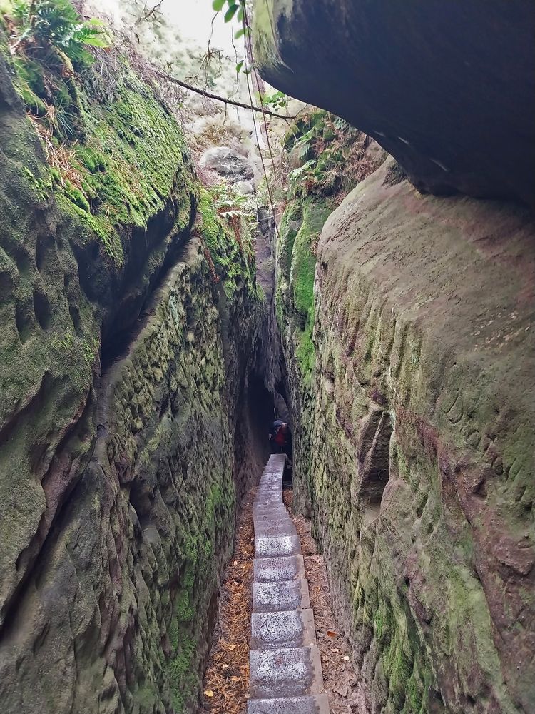 Durch diese Gasse werden sie kommen.... Foto & Bild sächsische