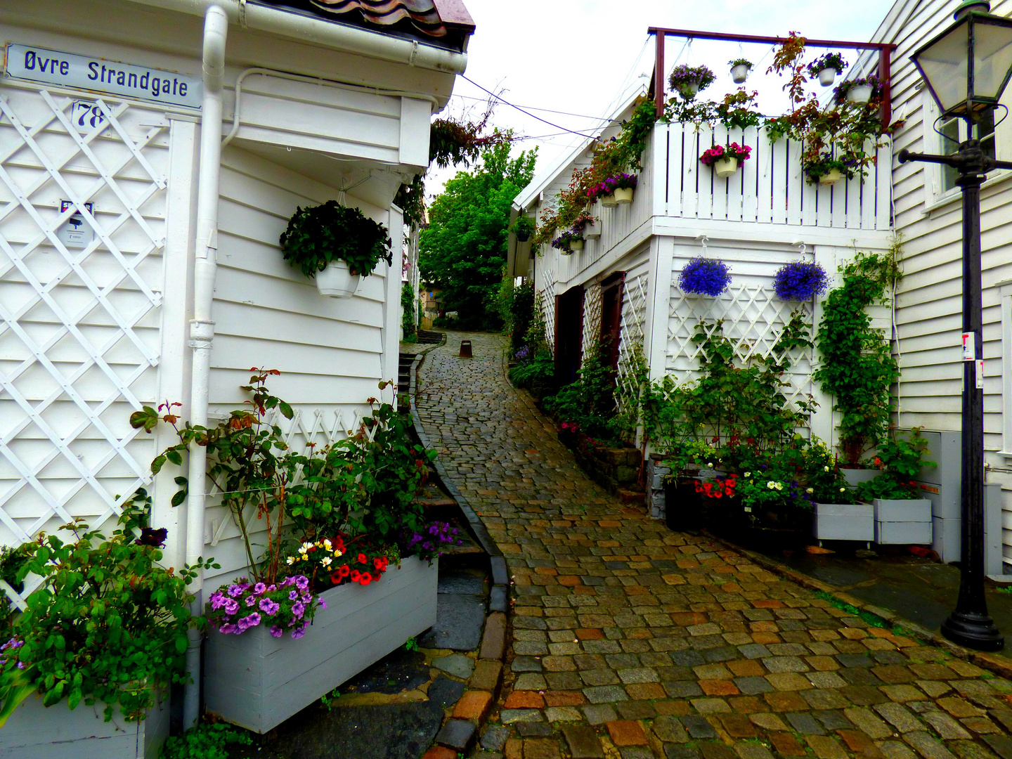 Durch diese hohle Gasse in.....