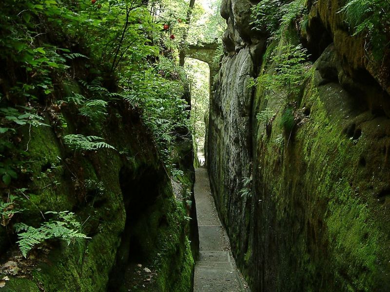 Durch diese hohle Gasse muss er kommen !!! Foto & Bild landschaft, rückkehr der natur, natur Durch diese hohle Gasse muss er kommen !!! Foto & Bild landschaft, rückkehr der natur, natur