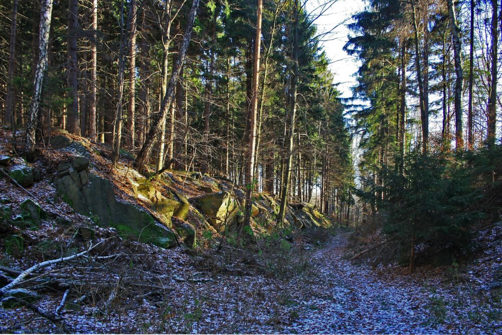 durch diese hohle gasse muß er kommen