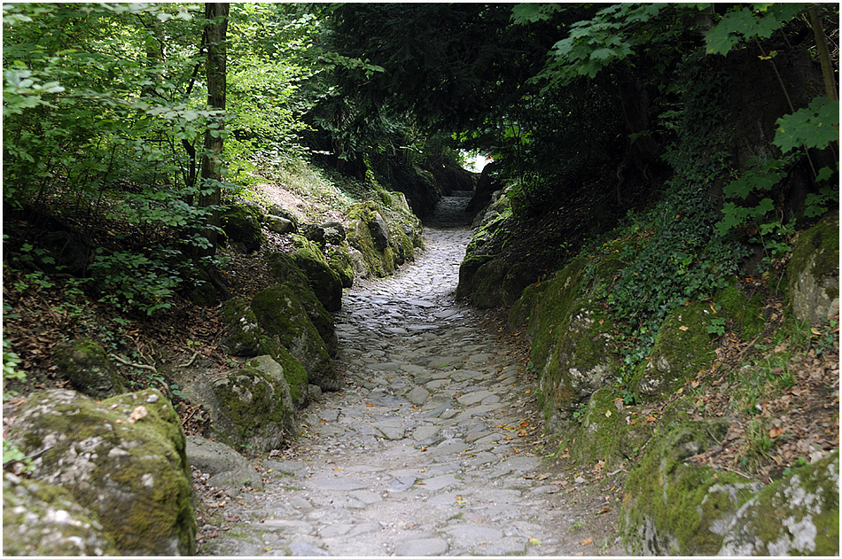 Durch diese hohle Gasse muss er kommen.