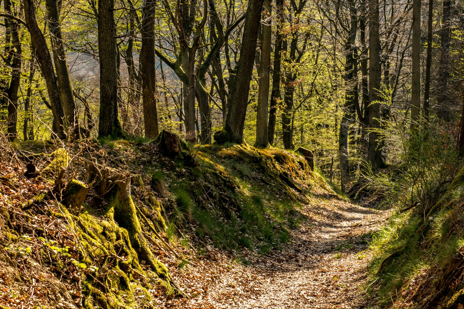 "Durch diese hohle Gasse muss er kommen"