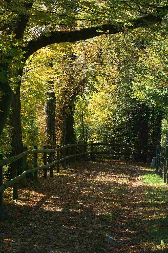 Durch diese hohle Gasse muss er kommen