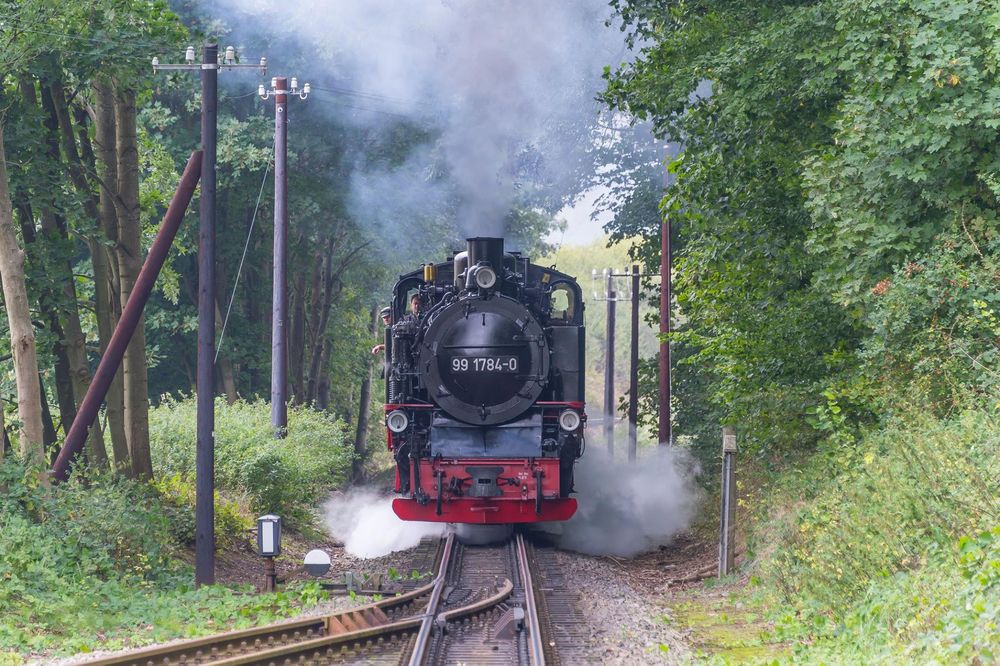 Durch diese hohle Gasse muss er kommen