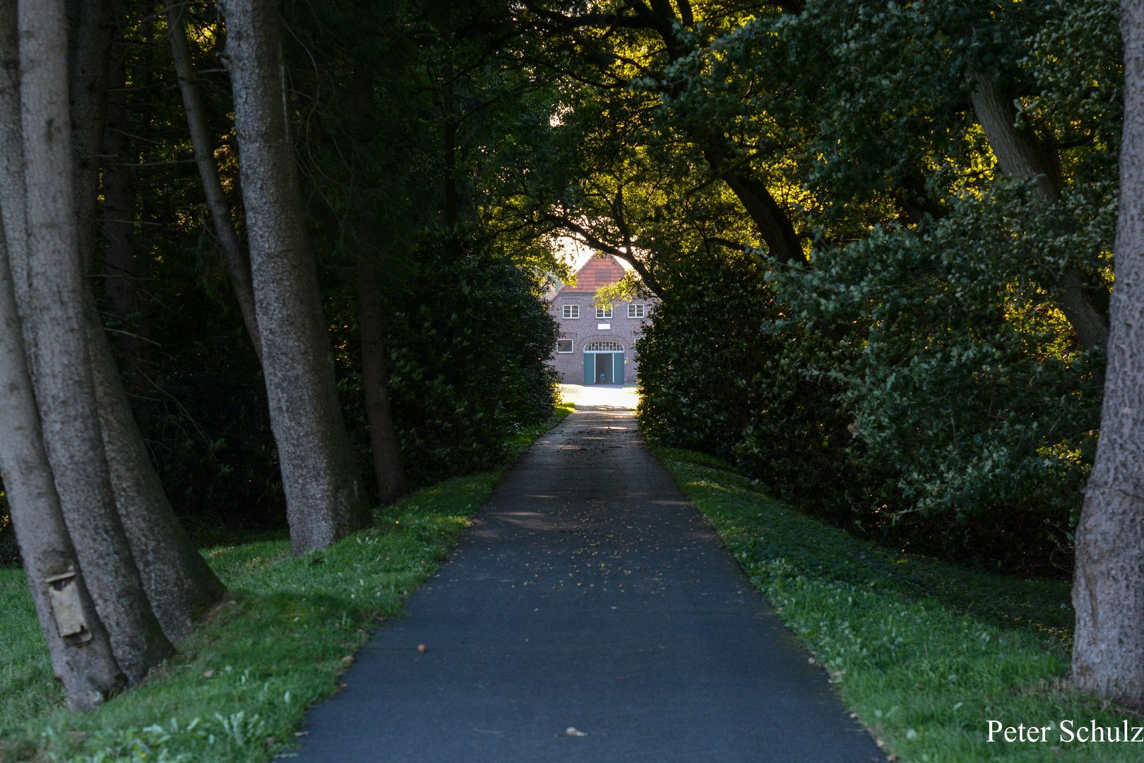 Durch diese hole Gasse muß er kommen.